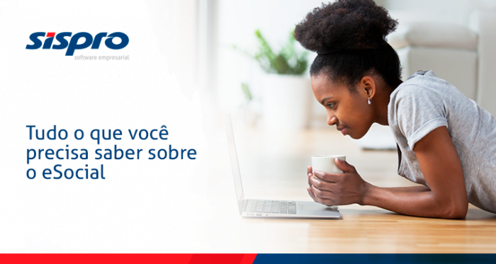 Esocial Guia Completo Com Tudo O Que Voc Precisa Saber